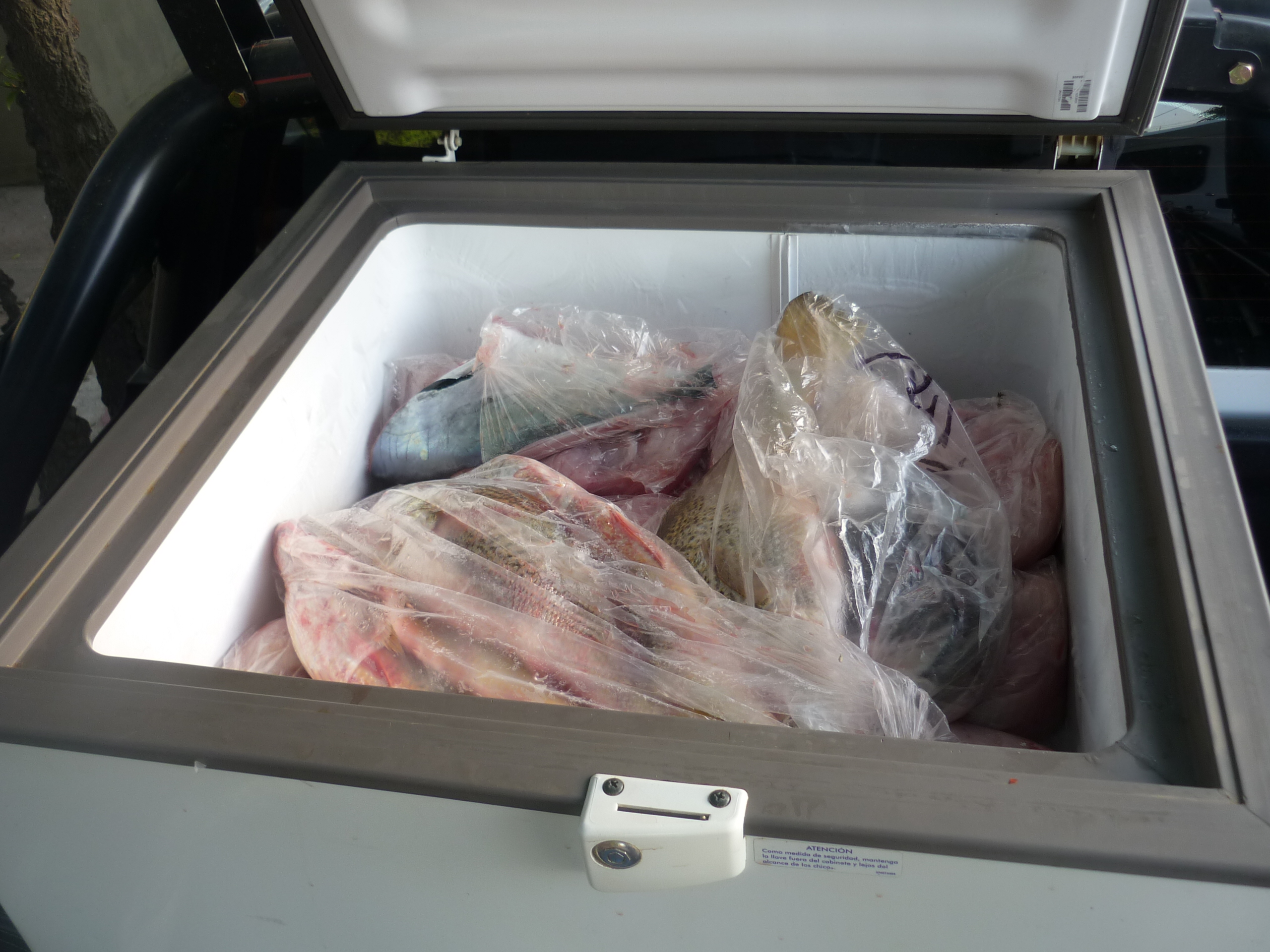 fotos/2012-12-08 - Pesca Bahia San Blas/P1030056.JPG